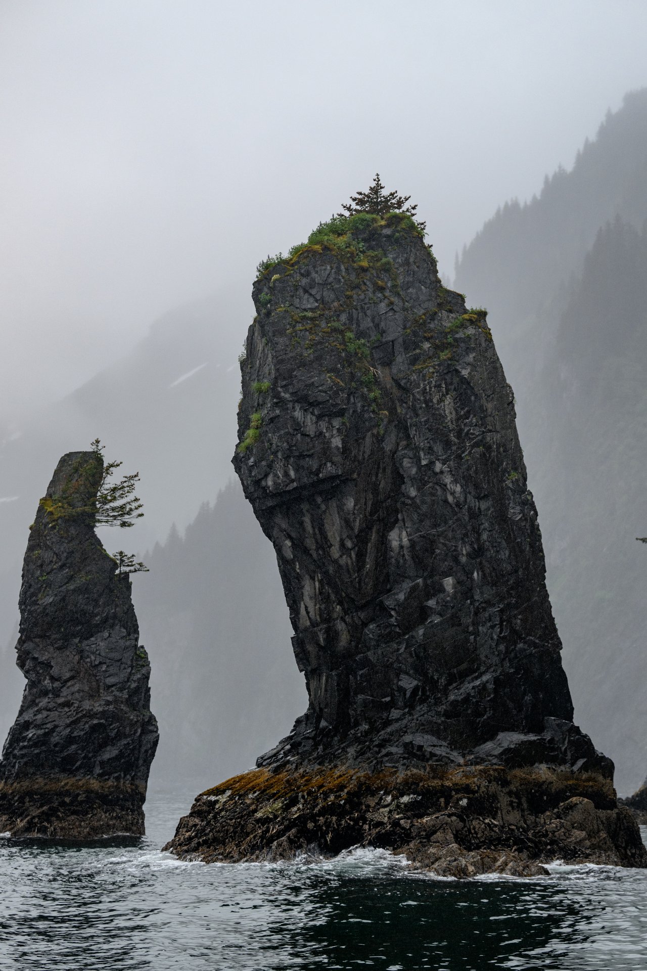 Seward & Kenai Fjords